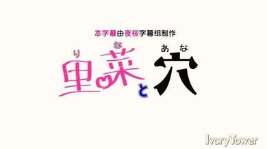 【3D】里菜と穴